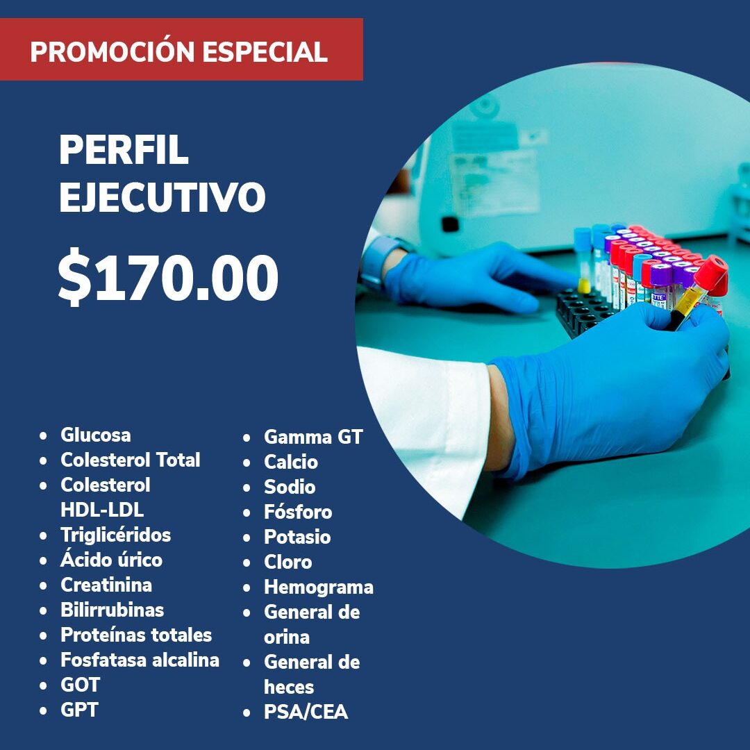 Perfil Ejecutivo