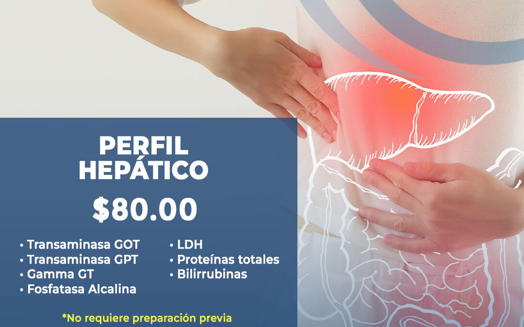 Perfil Hepático