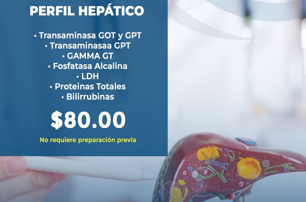 Perfil Hepático