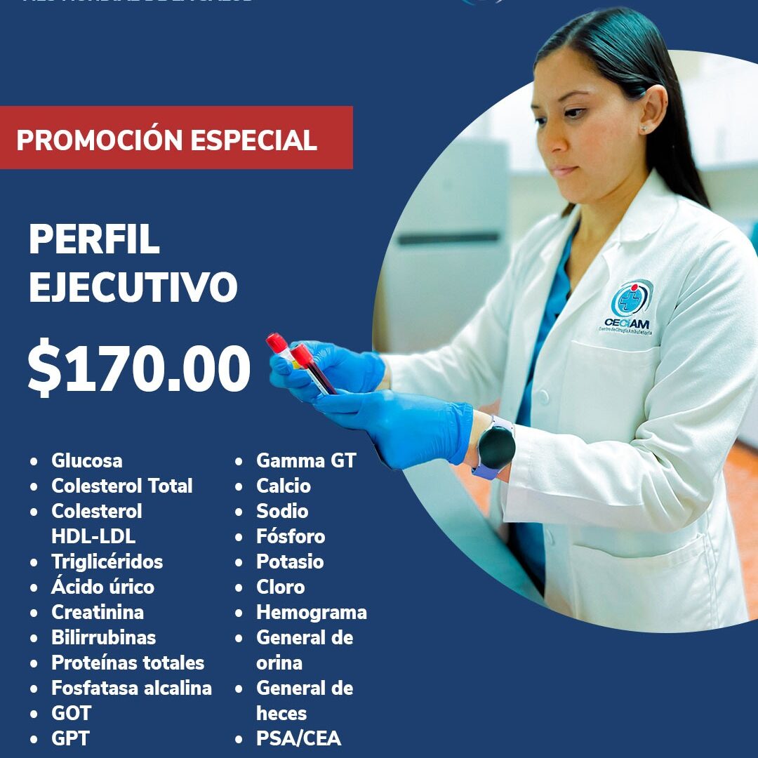 Perfil Ejecutivo