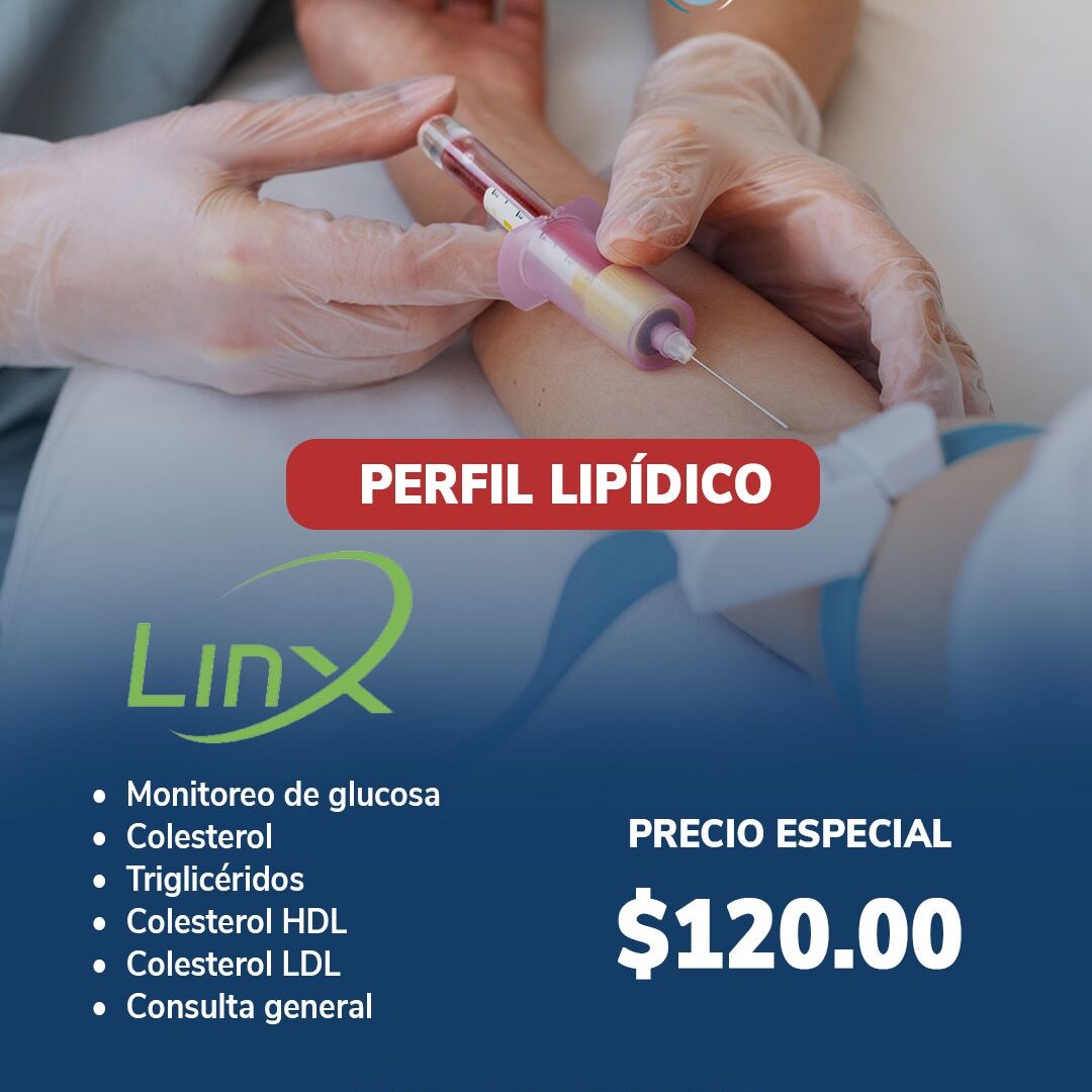 Perfil Lipídico